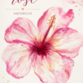 Aquarelle d'un hibiscus rose éclatant sur un fond doux