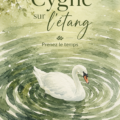 Un cygne majestueux nageant sur un étang paisible, mettant en avant la beauté de la nature.