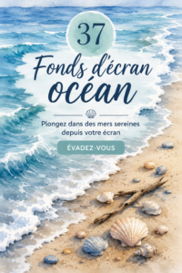 Fonds d'écran marins colorés sur un iPhone