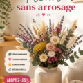 Un jardin coloré rempli de fleurs résistantes sans arrosage.